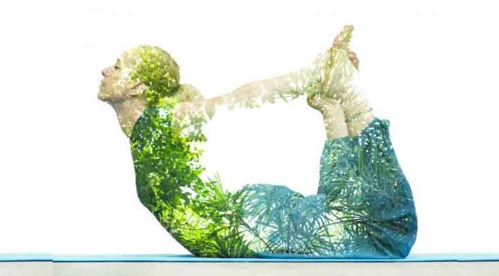 Terapia Corporal Integrativa i Salut